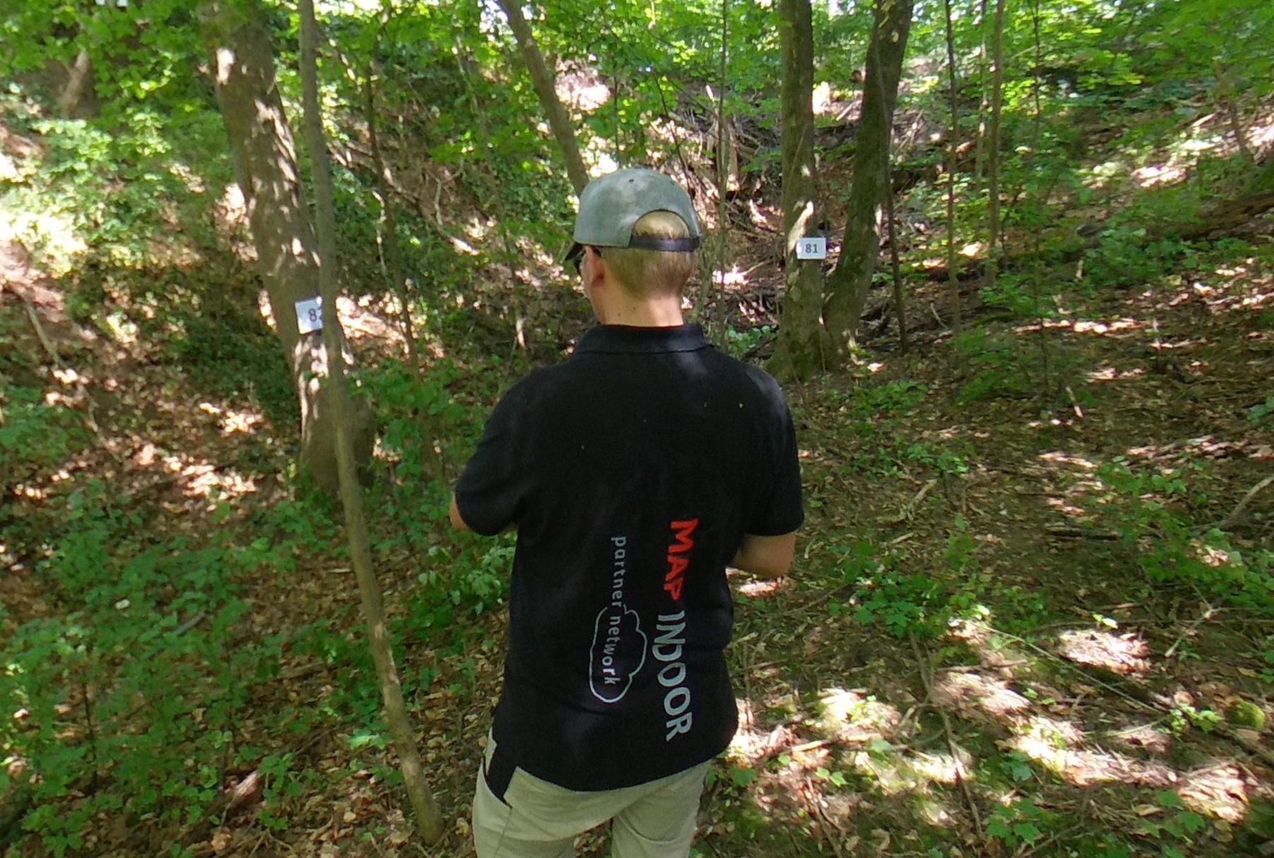 Baumbestandserfassung – Elementare Grundlage für die Planung Ihres Bauvorhabens